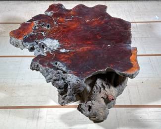 BURLED WOOD LIVE EDGE TABLE | Having an incredible 4 inch thick live edge top with large sections of burled specimen wood. Peg construction for mounting to a similar free growth form base currently in two separate pieces. - h. 18 x dia. 40 in (approx)
