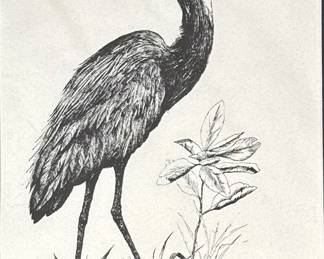 Douglas M. Haag | Study of a heron. Pencil signed and ed. 616/1000. Sight 9.5 x 7.5 in - h. 14 x w. 11 in (mat)