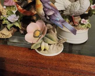 You can never have too many birds.