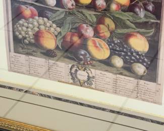 Framed Fruit Motif Print