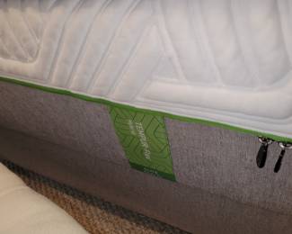 Full size Tempur-Flex mattress set