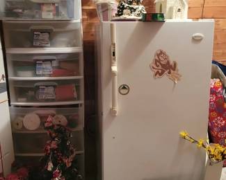 Upright Freezer
