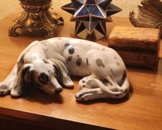 Dalmation