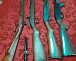 Another view of long guns