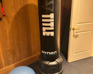 Floor Mounted Boxing Bag