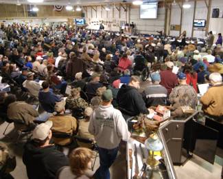 Firearm Auction