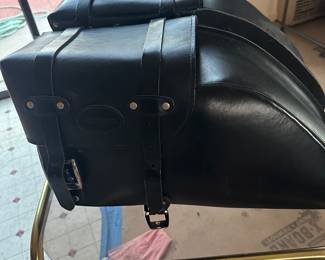 Triumph saddle bags