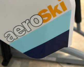 AeroSki Machine