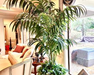 Dramatic large silk plants