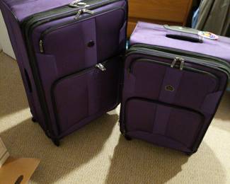 delsey suitcases/luggage