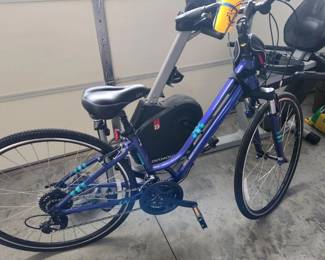 Liv Flourish Bicycle