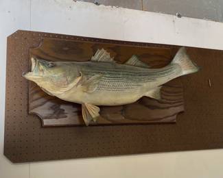 Mounted Bass Fish