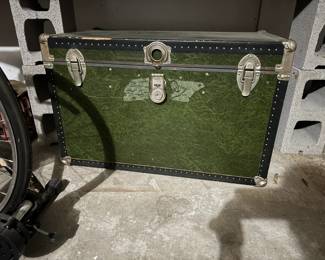 Very cool emerald green trunk.