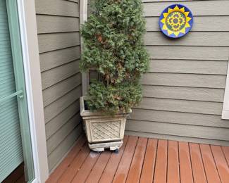 Planter & Tree