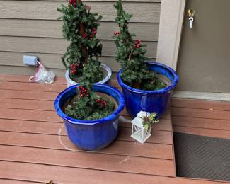 Christmas Trees & Planters