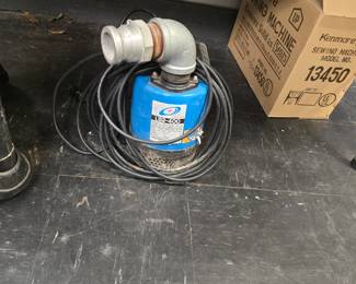 Large sub pump 