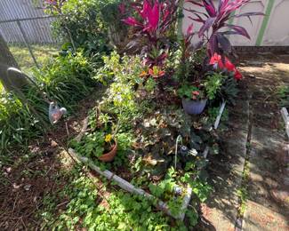 Potted plants , Shepards hooks, iron bench ends, 