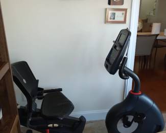 Schwinn 230 recumbent bike