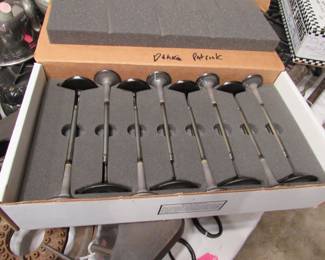 Titanium valves from Danica Patrick's racecar