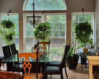Black Wood Dining Table with glass top and 4 Chairs Fair Condition!