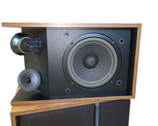Bose 301 Series Speakers