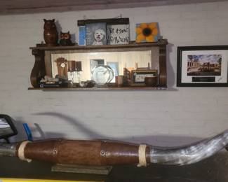 Massive horns (consigned in)
Great for man cave.