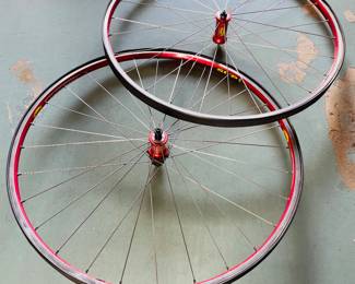 True Legacy Premium-Bike tires