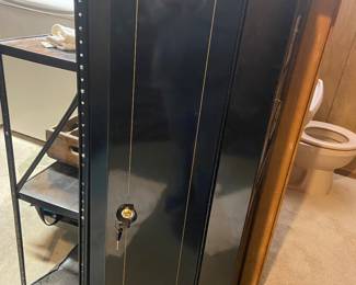 Sentinel Gun safe.