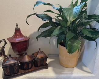 Home decor + houseplants