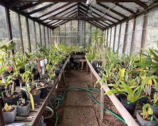 Greenhouse