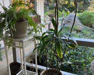 Wicker Plant Stand - Potted Plants