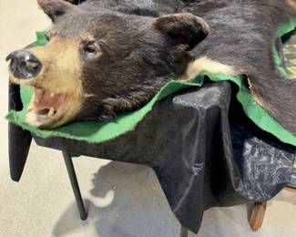 Bear Rug 