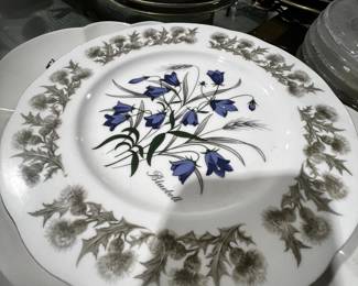 Scotland Porcelain Plate. ‘Bluebells’