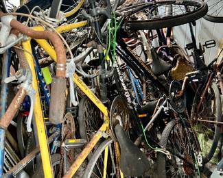 Shed full of vintage bicycles