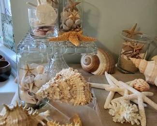Sea Shells, oh soooo pretty sea shells 