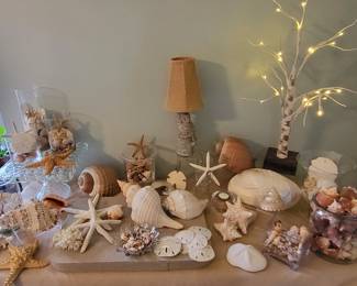 Susie sells seashells by the seashore