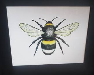 Jenny Haslimeier Bumble Bee Print Professionally Framed