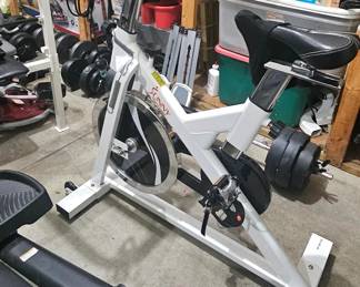 Sunny Spin Exercise Bike