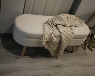 Modern Upholstered Storage Bench