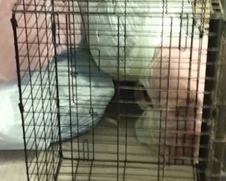 Large pet crate 40.00