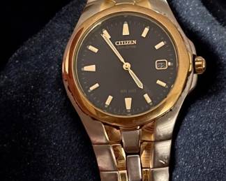 Citizen Watch