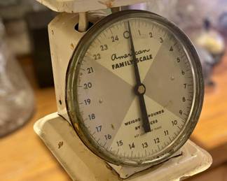 American Family Scale