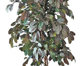 Artificial Plant In Wicker Basket