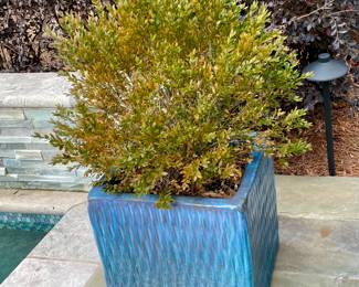 Beautiful flower pots one of a pair