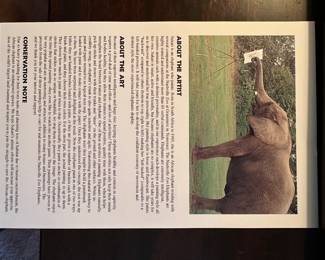 Elephant painting artist info