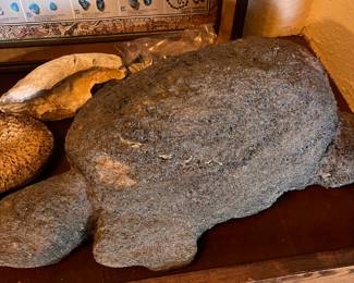 turtle fossil 