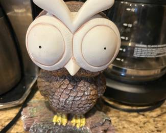 wide eyed owl