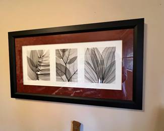 Leaf Collection Fine Art Print by Steven N. Meyers