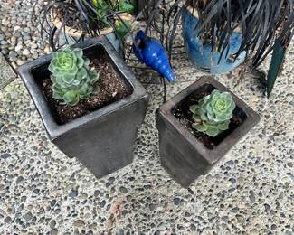 Pair of Square Black Ceramic Planters with Planted Succulents