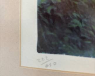 Framed & Matted 2000 Serigraph "Forest Rest" by Andrew Warden